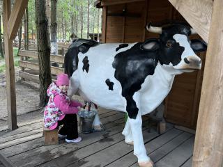 wycieczka 5l